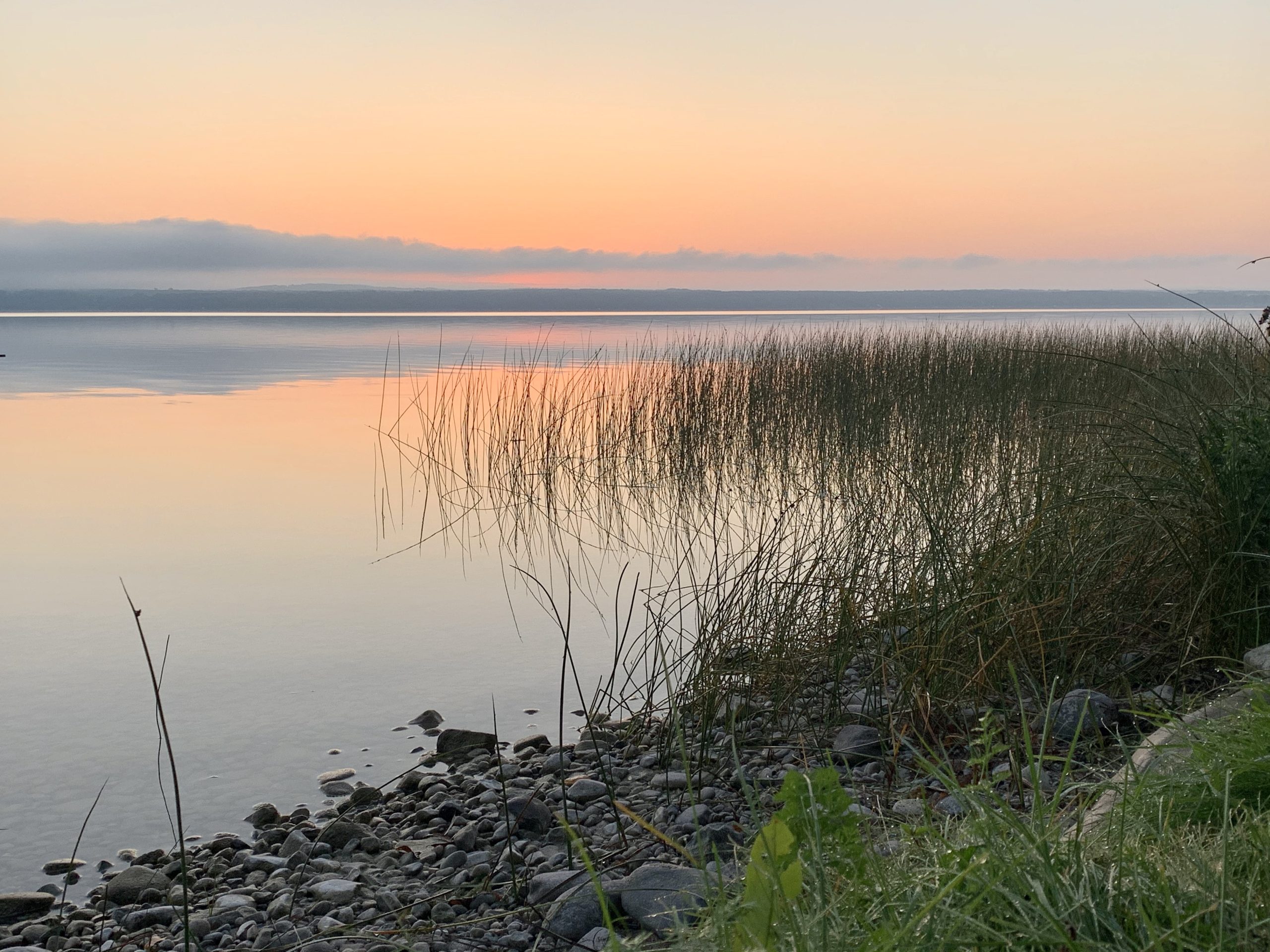 image of a lake at sunset. sunset is orange and purple. There are reeds in the water and on the shore.